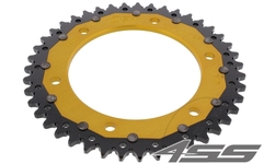 Řetězová rozeta ZF DUAL 1317,43 zubů - černá/zlatá