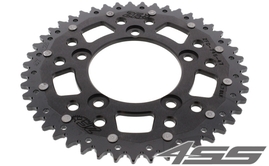Řetězová rozeta ZF DUAL 746,48 zubů - černá/černá