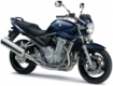GSF 650 Bandit 2007-2008 (WVCJ)