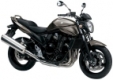 GSF 650 Bandit 2009-2012 (WVCZ)