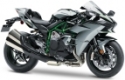 Ninja H2 2019-2020 (ZXT02J)