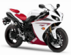 YZF-R1 2009-2014 (RN22)